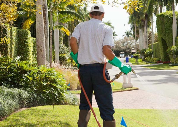 About Braintree MA Pest Control Pros
